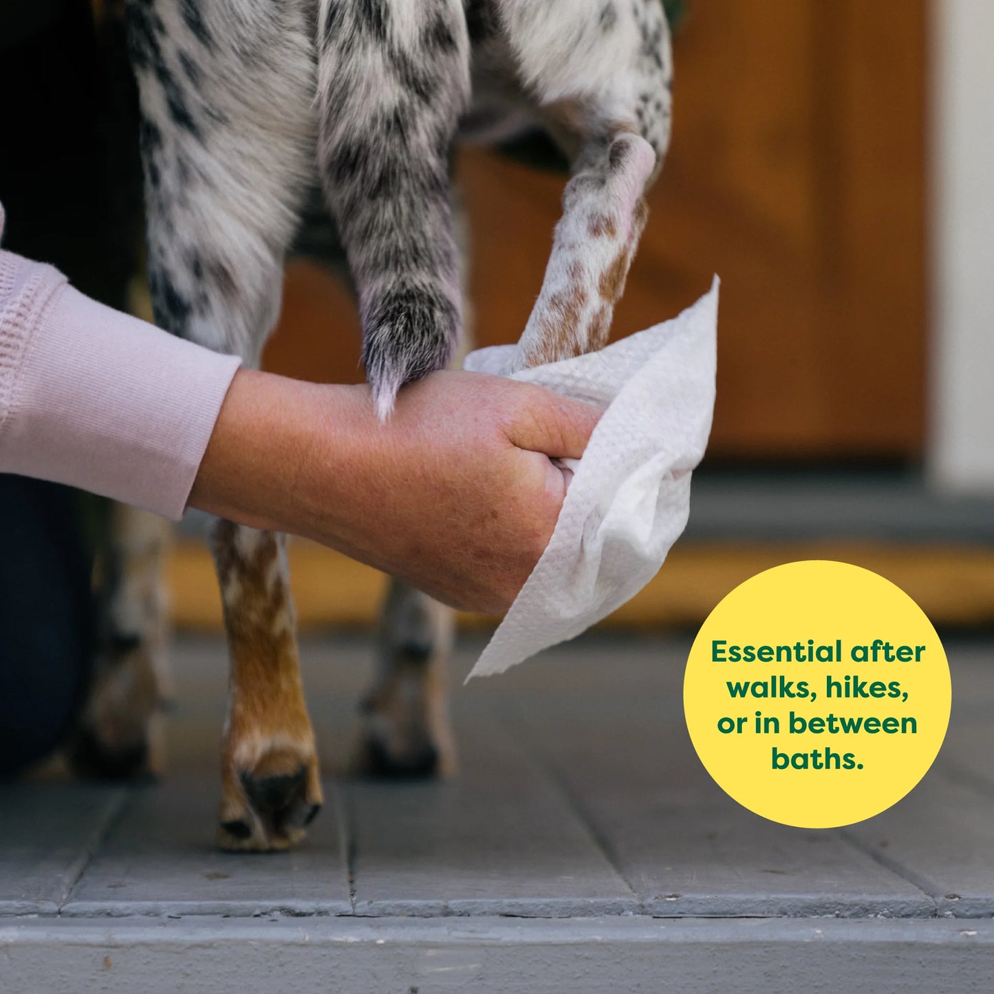 New Earth Rated Dog Grooming Wipes 60 Pack
