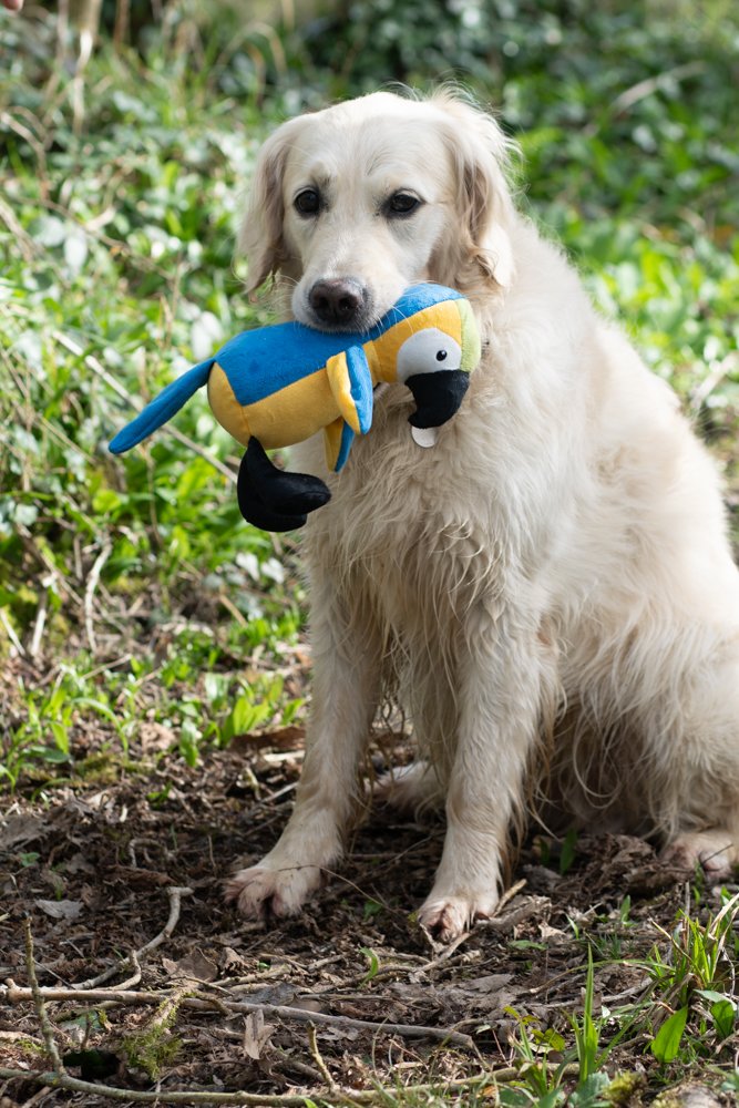 Percy Parrot, Petface Planet Sustainable Dog Toy, Sale