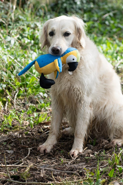 Percy Parrot, Petface Planet Sustainable Dog Toy, Sale